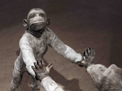 José Cobo: Mono de pie apoyado en un espejo, 2014. Resina de epoxi marrón. Mono, 34x48x85 cm. Espejo, 120x80 cm.